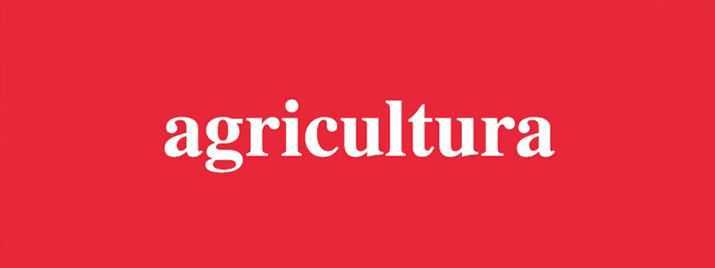 Agricultura | Logran protección para la marca de certificación “Sello Mapuche”